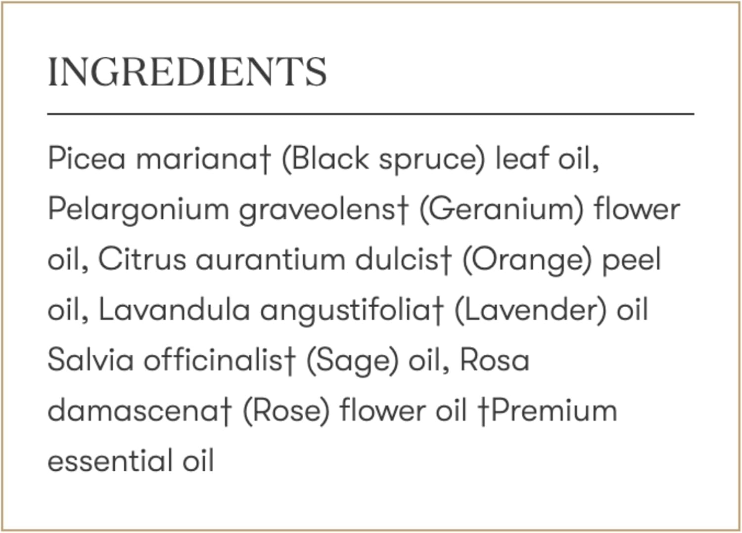 Envision Essential Oils Blend 5 ml by Young Living Kosher Certified New - Seed to Seal - Lavender Oil - Awakening Your Inner - Remove Negative Emotions