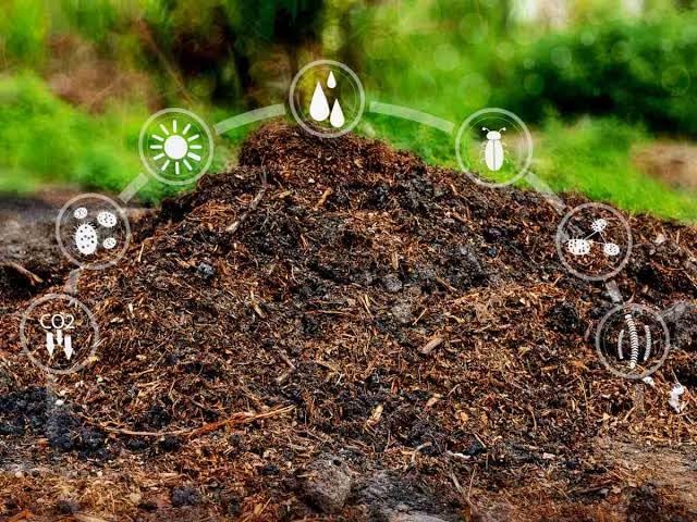 Image of Home Garden Potting Soil 25 KG. - 100% Natural, Organic Soil for Plants Home Garden,High Water Retention, Anti-Fungal Garden Soil for Plants, Potting Mix