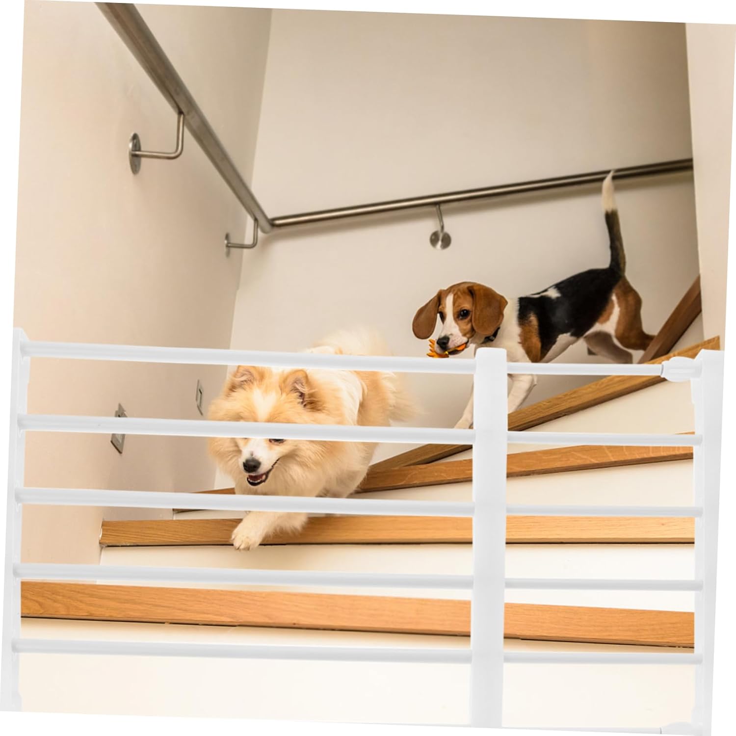 Retractable Dog Gate Pet Barrier for Indoor Use Fits Doorways Hallways Easy Installation Portable Dog Fence for Small Breeds Height