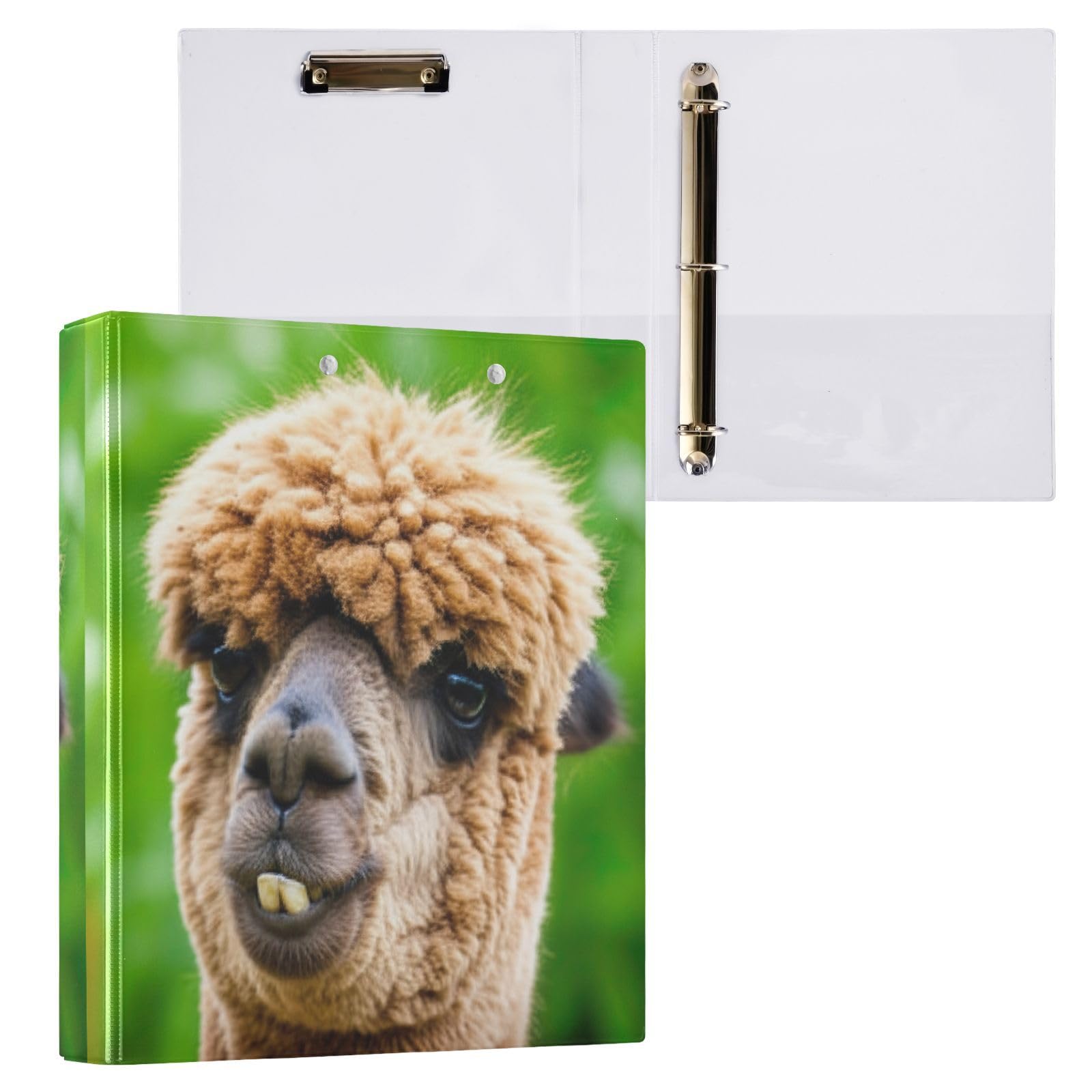 Funny Alpaca - Raccoglitore a 3 anelli da 3,8 cm, con portablocco a D e 3 raccoglitori per scuola, università, ufficio (confezione da 2)