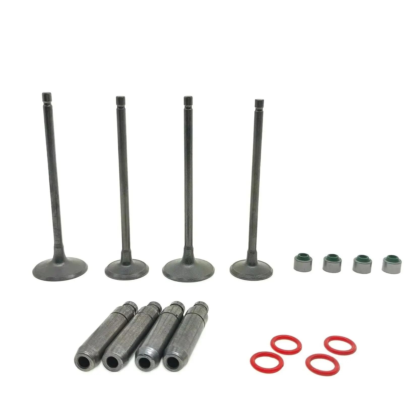 For Bajaj Pulsar NS200 200NS AS200 RS200 Rouser NS AS RS 200 soupape d'admission d'échappement tige de guidage tuyau joint d'huile(Valve 2 Pair)