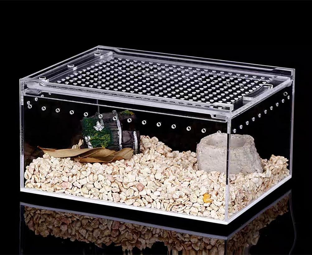 Amazon | 爬虫類 ケージ 爬虫類 飼育ケース レプタイルボックス 爬虫類
