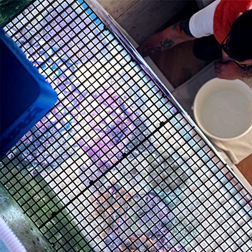 Obangong 4 Pcs Aquarium Grid Divider Tray 12X12 Inch Egg Crate Grid Louvre Aquarium Fish Tank Divider Bottom Isolation Board For Mixed Breeding With 6 Pcs Sucker Clip,Hole Diameter 0.4Inch #TOP6