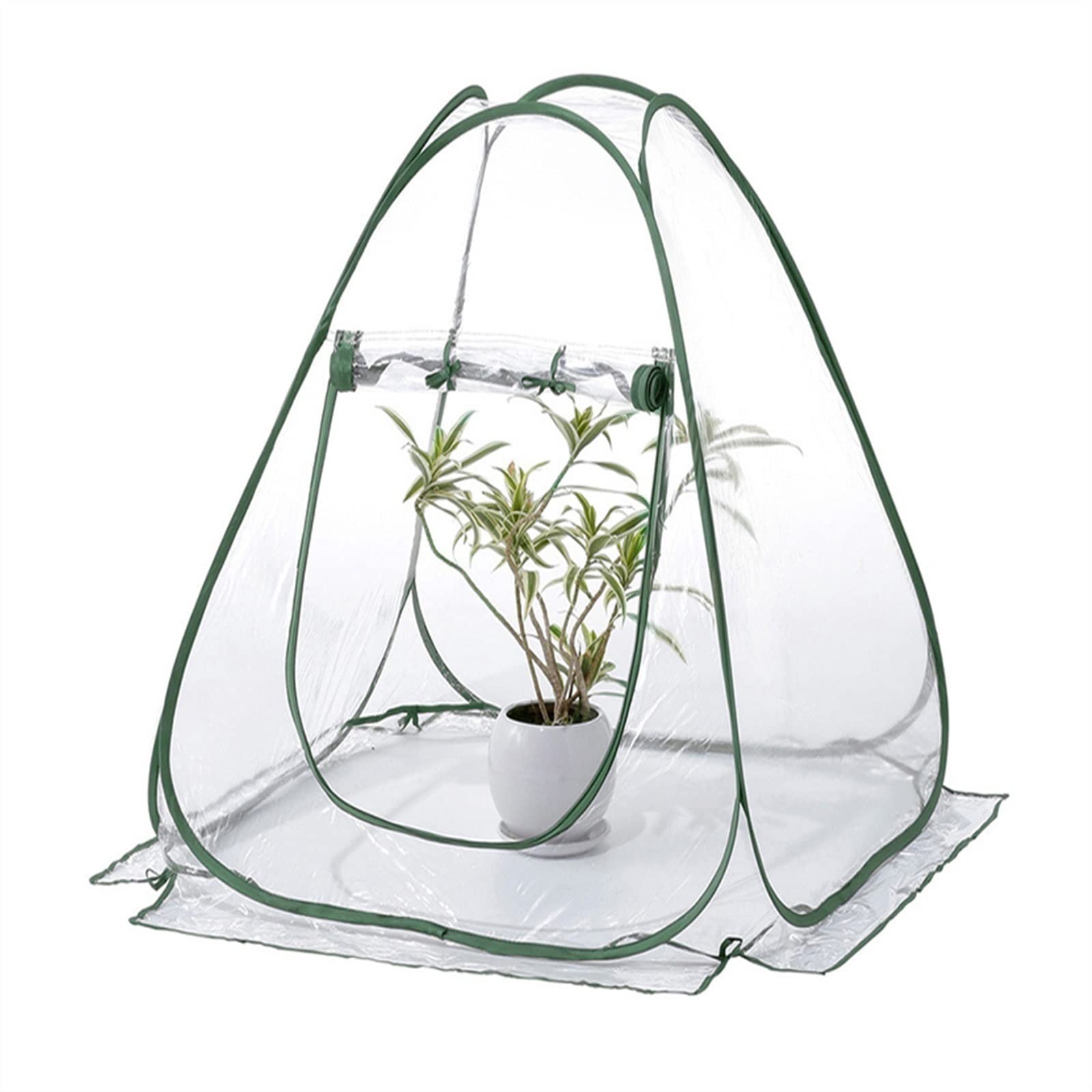 Culture peu encombrante avec la serre pour semis et fleurs pop up