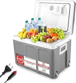 TZS First Austria - Kühlbox 45L elektrisch 12V 230V Anschluss für Auto & Steckdose - Thermoelektrische Cool Box kühlt & wärmt - Mini Kühlschrank mit Rollen - Für Camping, Festivals, Reisen - Grau