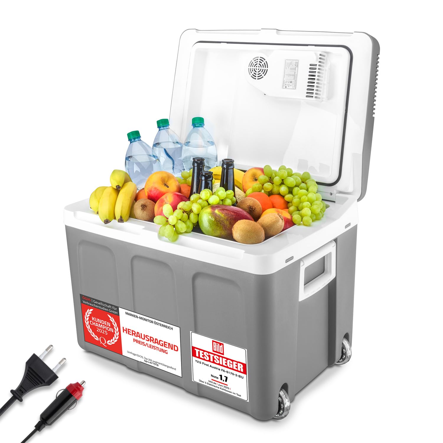 TZS First Austria - Kühlbox 45L elektrisch 12V 230V Anschluss für Auto & Steckdose - Thermoelektrische Cool Box kühlt & wärmt - Mini Kühlschrank mit Rollen - Für Camping, Festivals, Reisen - Grau