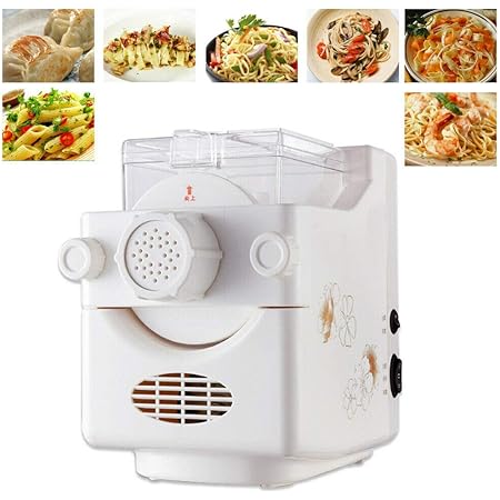 Amazon.de: Btdahong 160W Vollautomatische Nudelmaschine Elektrisch  Pastamaschine Nudelteig Teigknetmaschine Spagetti Pasta Dough Maker + 9  Schimmel Weiß