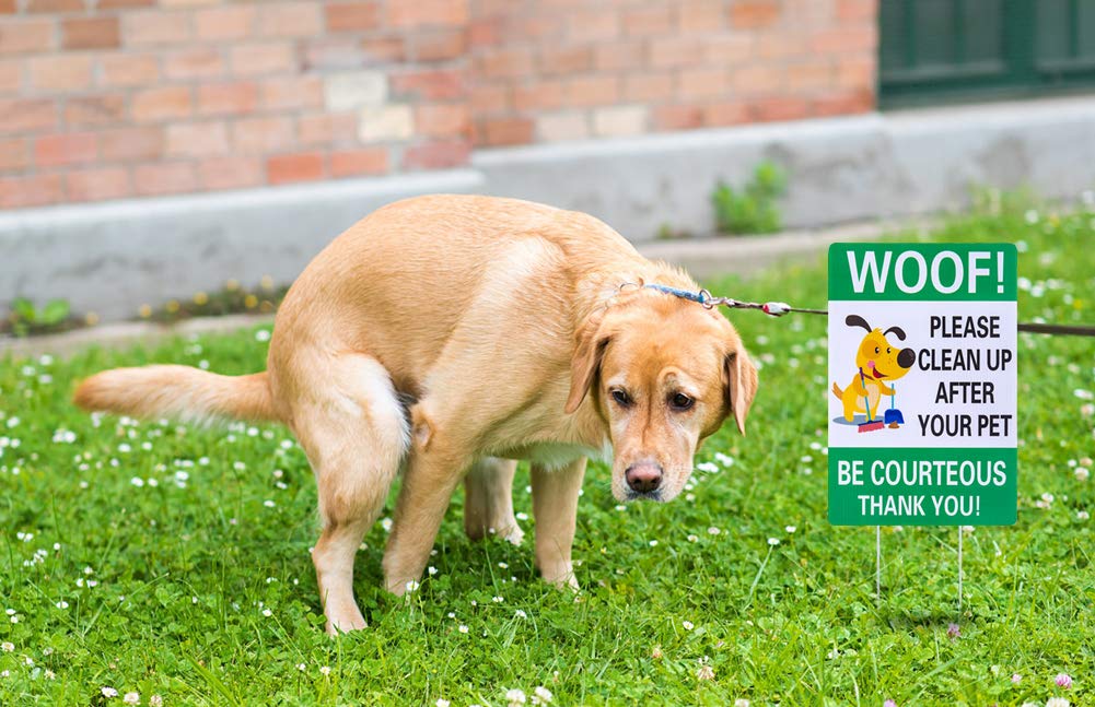 3x Hundekot-Schild 'Bitte Nach Ihrem Haustier Aufräumen' – 30,5x20,3 Cm, Mit Metall-Heringen