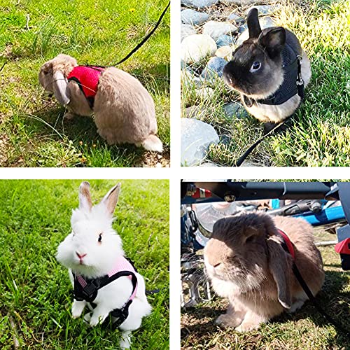 Image of Pettom Rabbits Harness with Elastic Leash for Small Animal Adjustable Soft Harness and Lead Set for Bunny Cat Little Pet Walking (S(Chest:10. 8-12. 9 In), Blue)