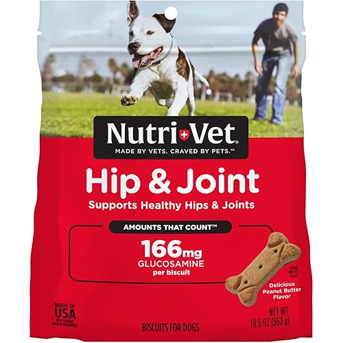 Nutri-Vet Hip & Joint Biscuits for Dogs, Tasty Glucosamine Treat, Puppy Supplements, Dog Joint Supplement, Small Sized Biscuit with 166mg Glucosamine, Puppy Essentials, Peanut Butter Flavor, 16 oz