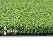 Golf Putting Green Turf 5x10 ft Multi-use Artificial Grass Carpet Indoor Outdoor Rug, Golf Hitting Practice Mat in Home, Backyard, Custom