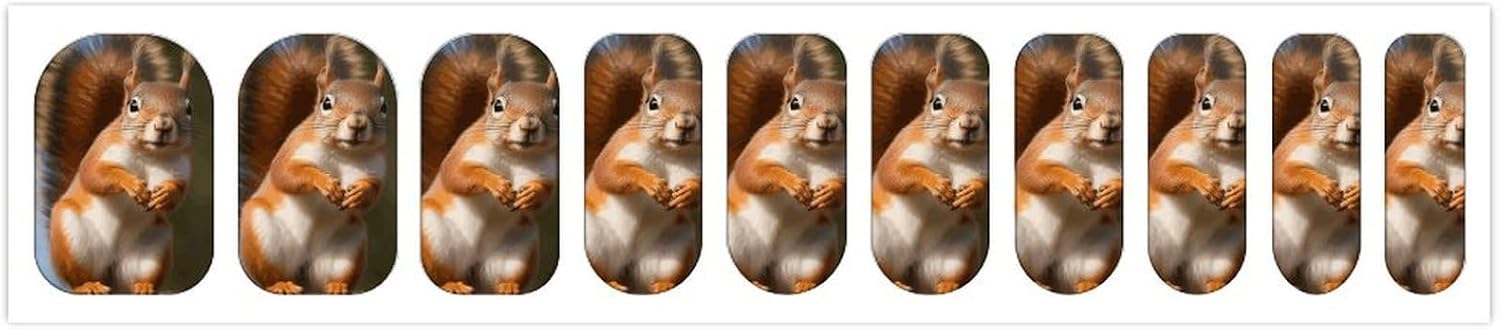 Nail Strips Bundle Full Wrap Long Lasting Nail Polish Strips Easy Application and Removal Salon Quality Self Adhesive Art Stickers for Women Gifts