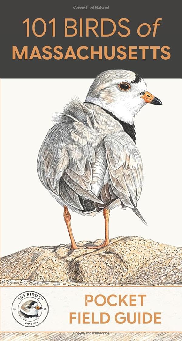 101 Birds of Massachusetts: Pocket Field Guide (101 Birds Pocket Field Guides)