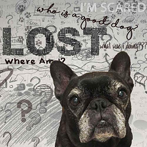 Image of The Blissful Dog French Bulldog Age Well Dog Aromatherapy