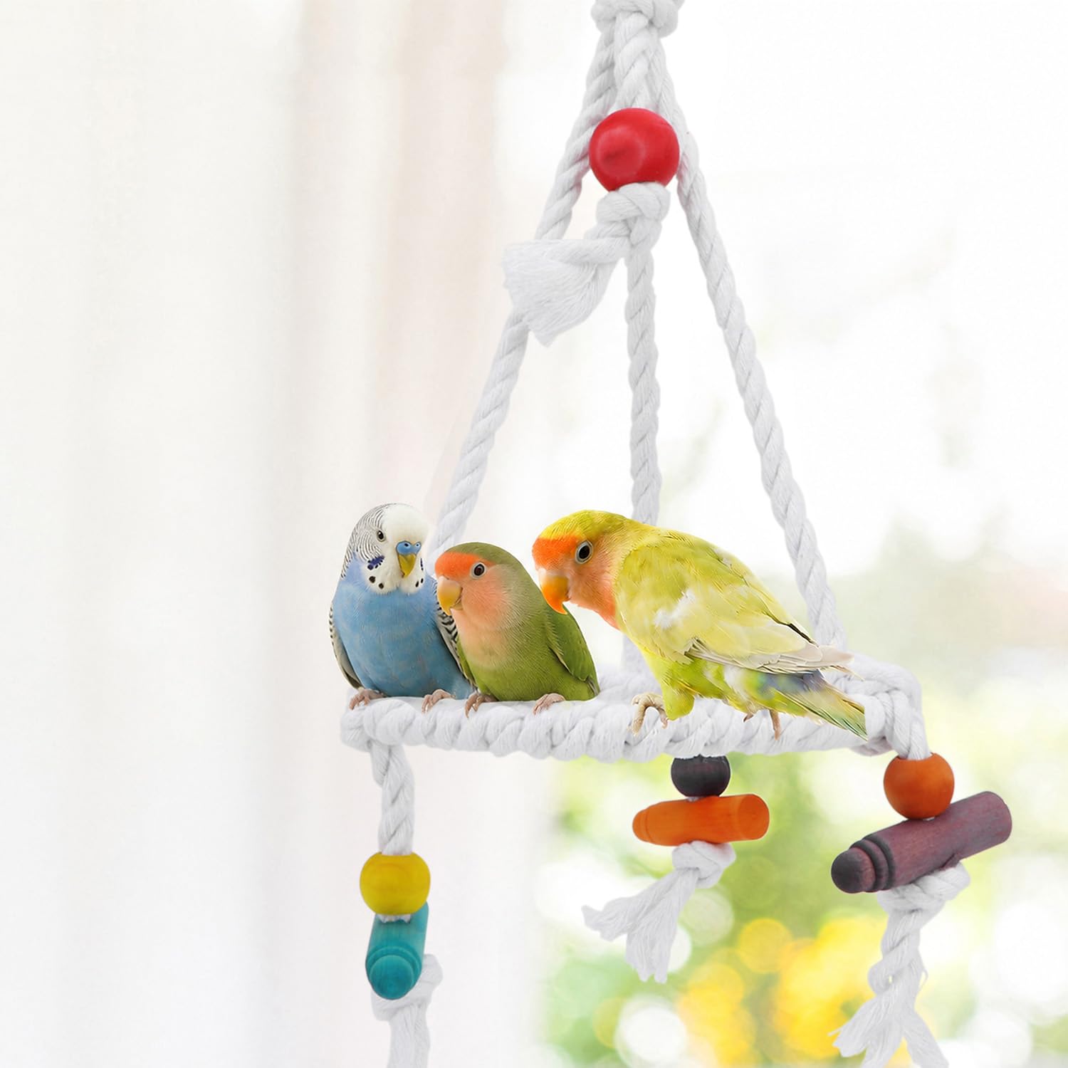 Amazon | Hypeety ペット 鳥 オウム ブランコ ぶら下げおもちゃ インコ