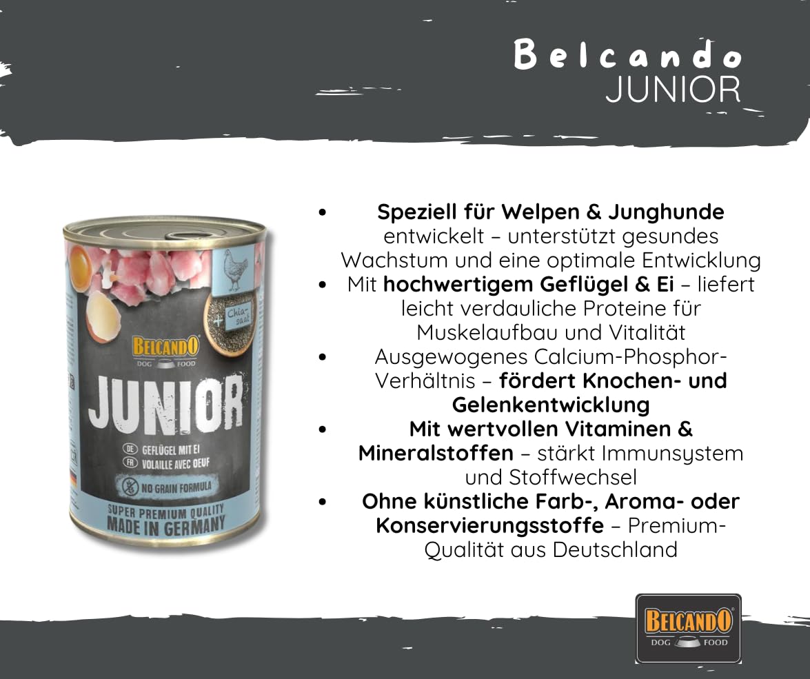 Belcando Junior Geflügel mit Ei 2x6x400g – Nassfutter für Welpen & Junghunde, hochwertiges Aufzuchtfutter mit Geflügel, schonend gegart - Hundefutter Bundle/Sparpaket - Made in Germany