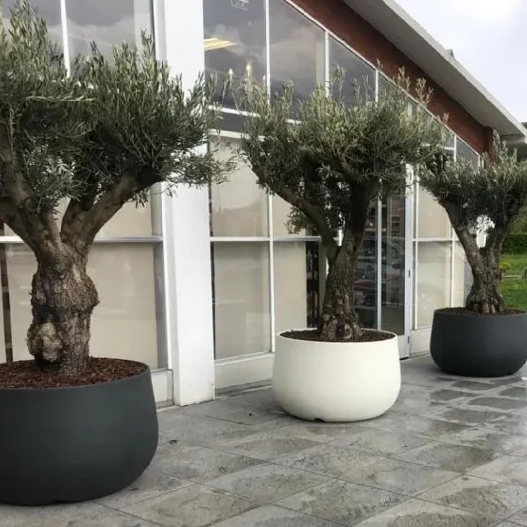 Generico Vaso Urbano ACAYA 78 SMOKE, Vaso in resina per piante di grosse dimensioni, Vaso grosse piante, Ambienti urbani, Vaso per locali, Hotel, Vaso resistente, Vaso leggero, Durevole, 78x50cm