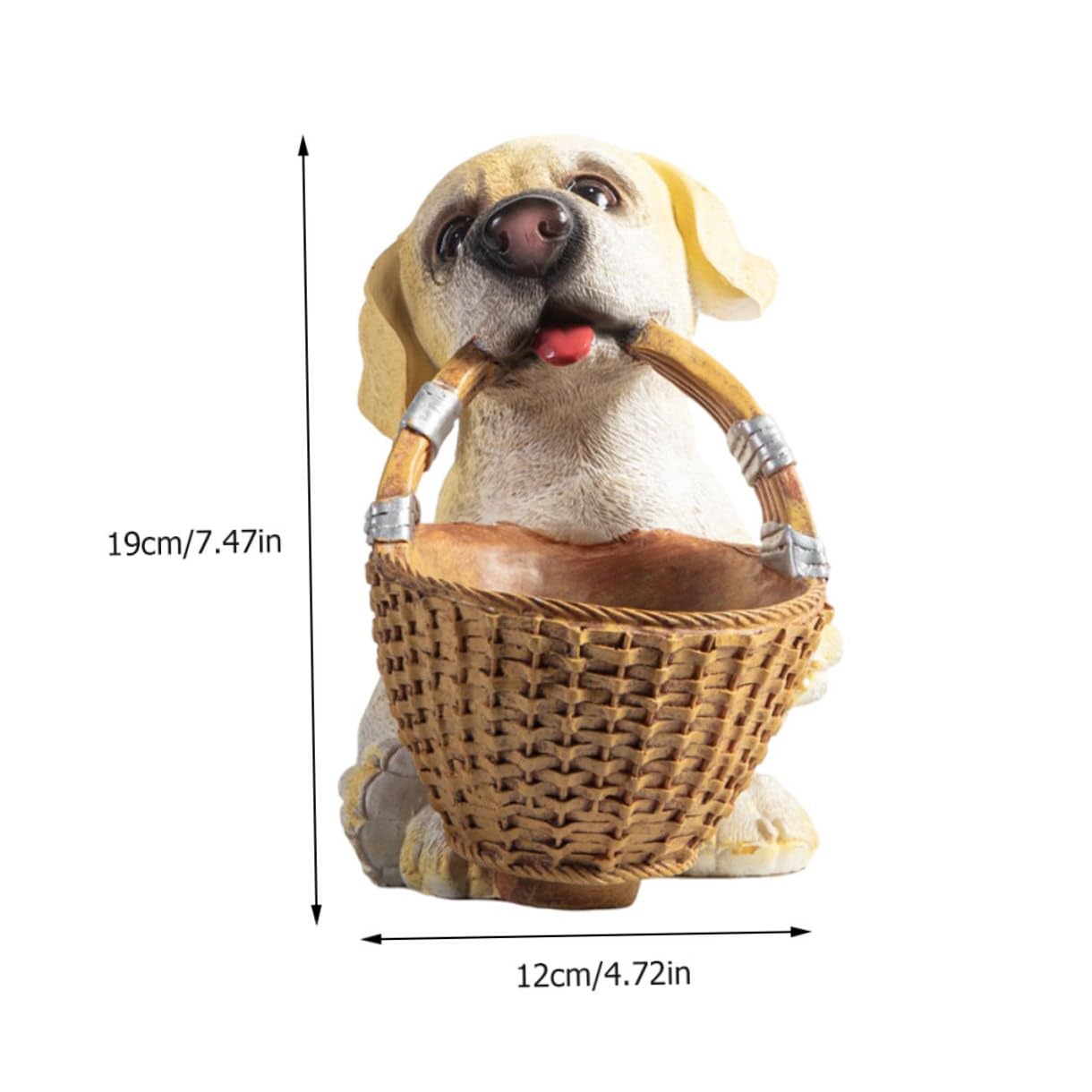 1 Pezzo Scatola Portaoggetti per Decorazione da Unica per Accessori e Gioielli Capacità Stoccaggio Idea per Amanti Animali