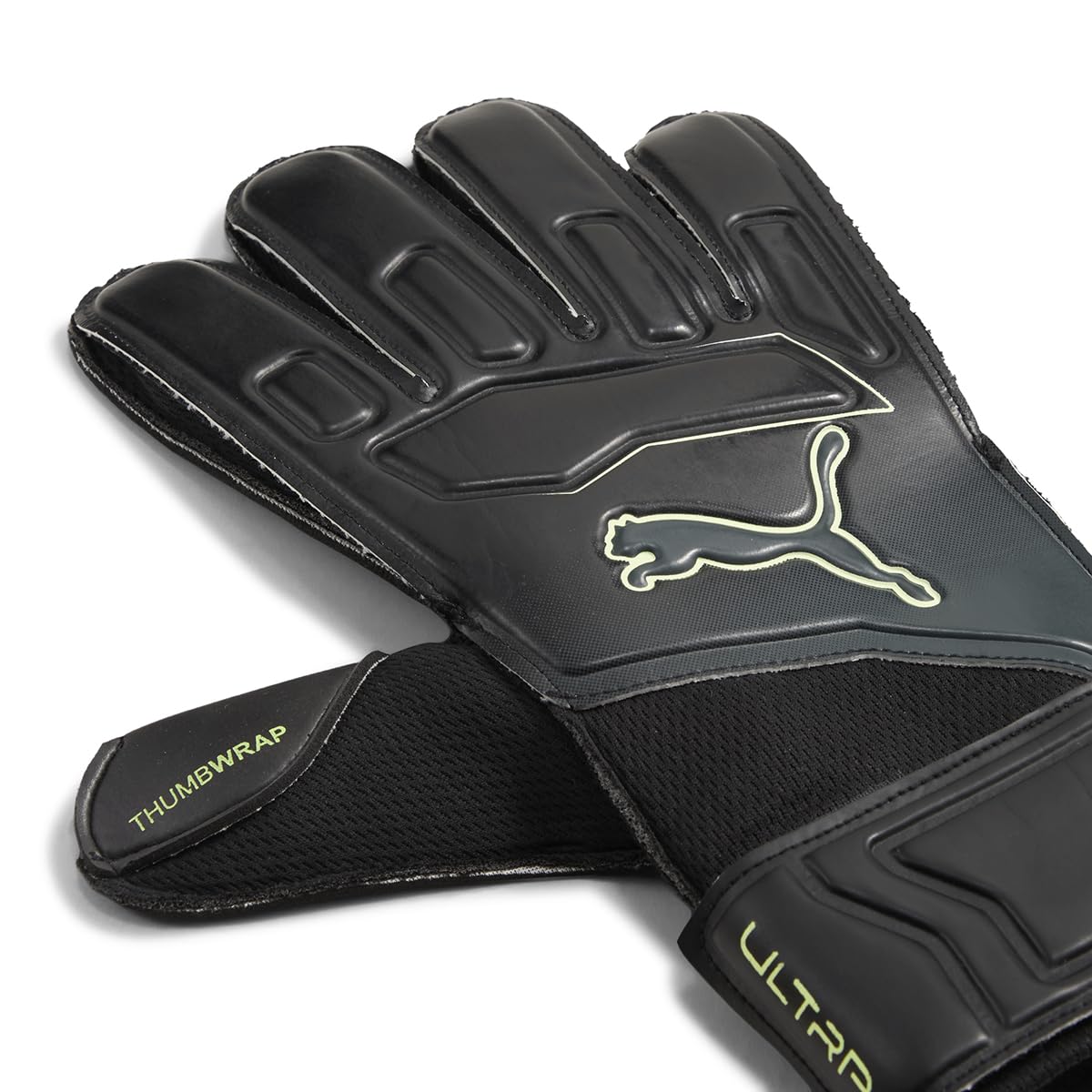 View 3