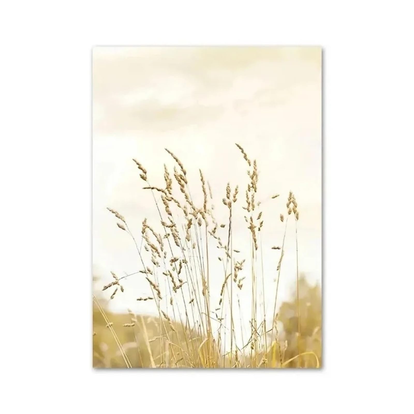 Xenite B Wall Art Canvas Prints Canvas Painting Yellow Dahlia Sunflower Orchid Utterfly Eige Wall Art Nordic Posters And Prints Pictures For Living Room Decor(,40X50cm)