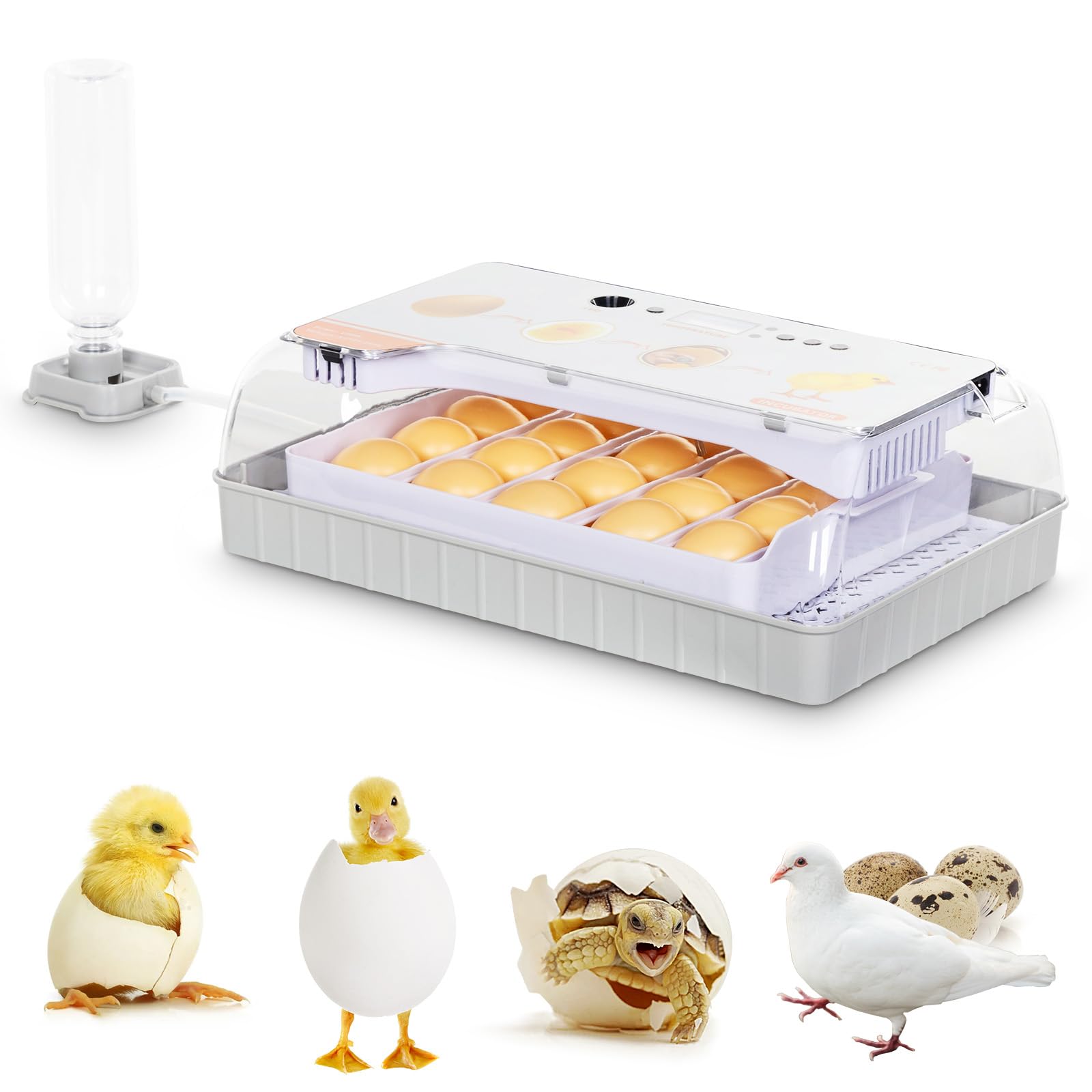 Buy 20 Egg Incubators for Hatching Eggs, Chicken Egg Incubator with