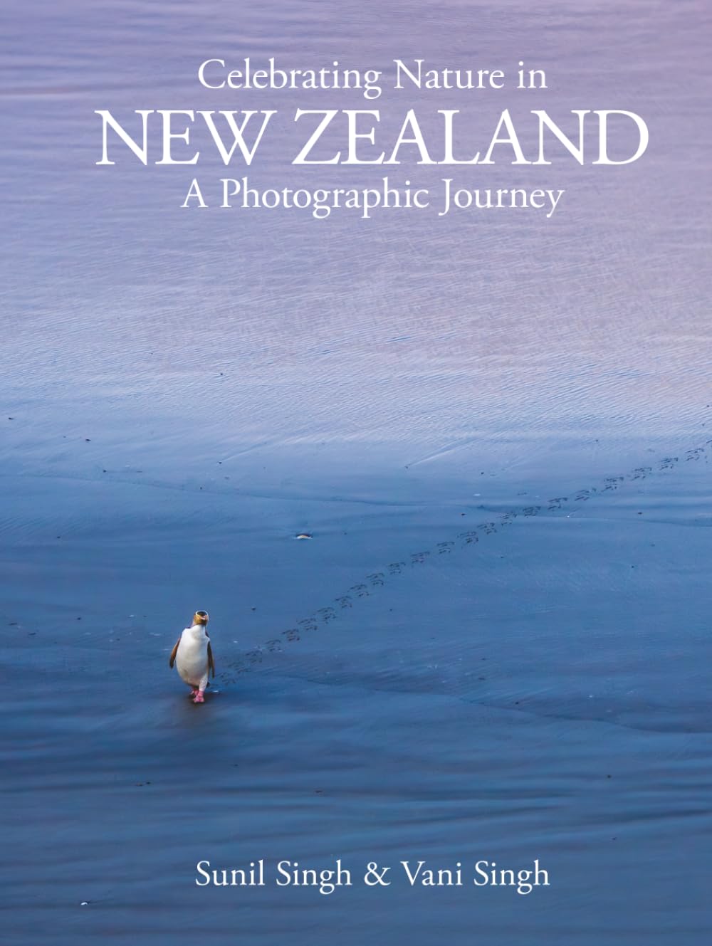 Celebrating Nature in New Zealand: A Photographic Journey