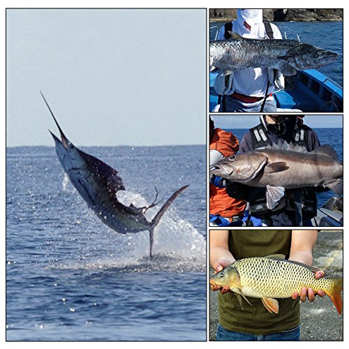 DECDEAL 20 M Linha De Pesca Monofilamento Linha De Pesca Fina Carretel Suave Carpa Gancho Linha De P