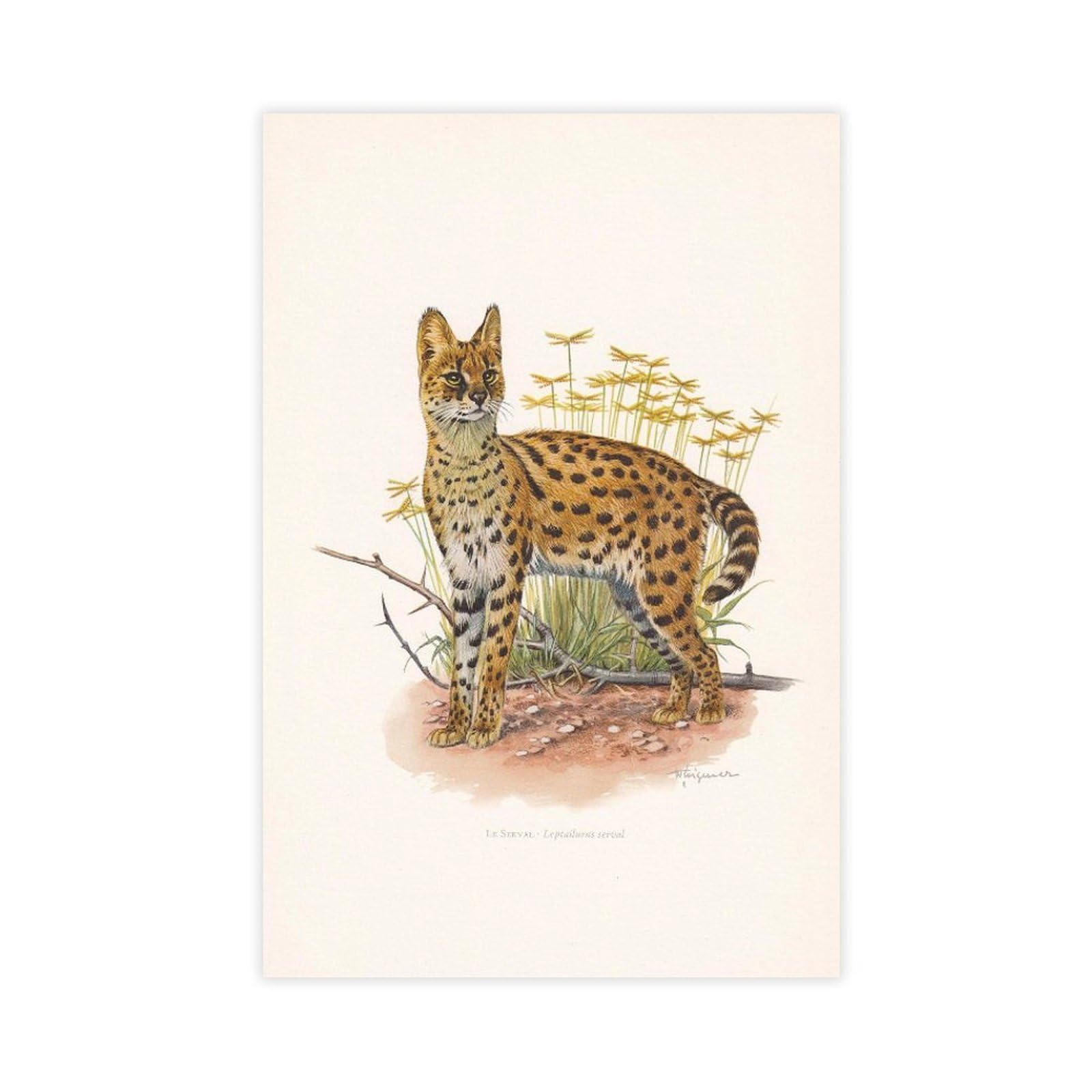 MRYCQ SERVAL Poster Canvas Poster for Dorm Room Decor Gift