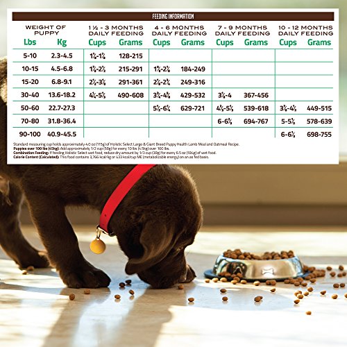 Croquettes pour chien Holistic Select pour la vitalité des balades en plein air