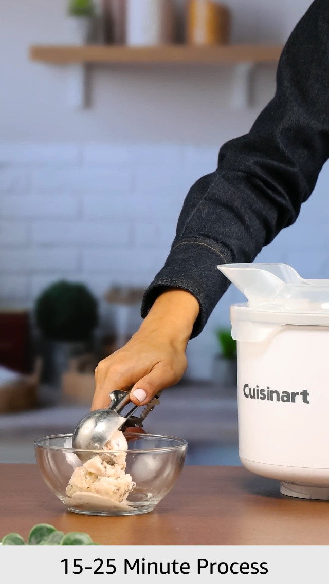 cuisinart ice cream maker stand mixer