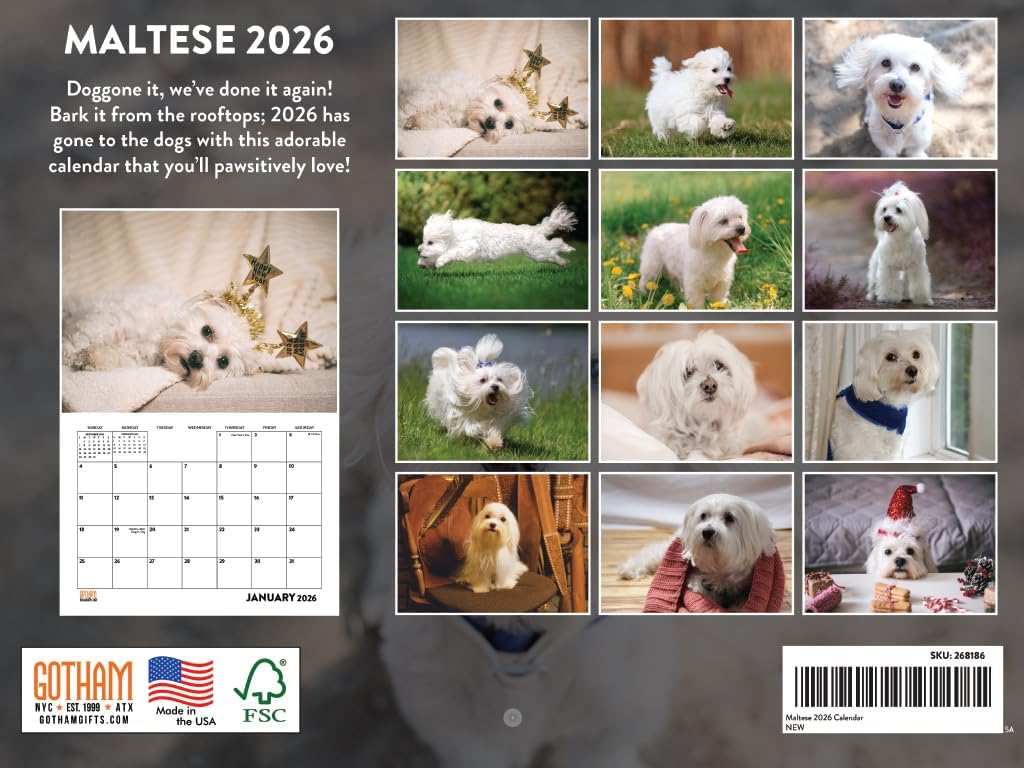 Maltese Calendar 2026 Wall Monthly Malteses Gifts For Maltese Lovers Women Men Mom Dad | American Made In The USA - Image 2