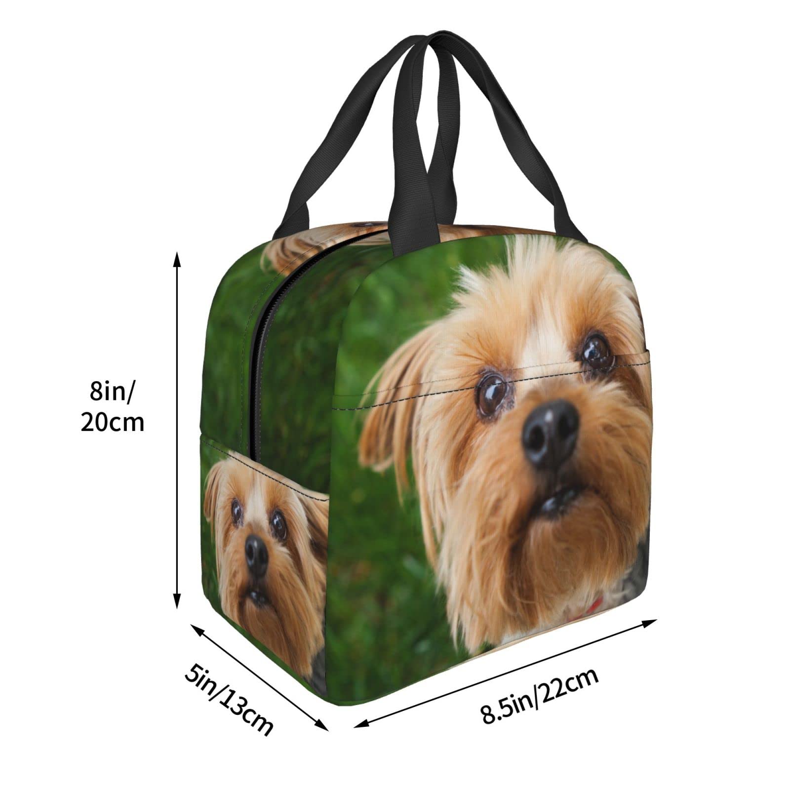 Borsa per il pranzo, Yorkshire Terrier, Yorkshire Terrier, Yorkie, animali domestici, cani, isolata, resistente, borsa termica riutilizzabile