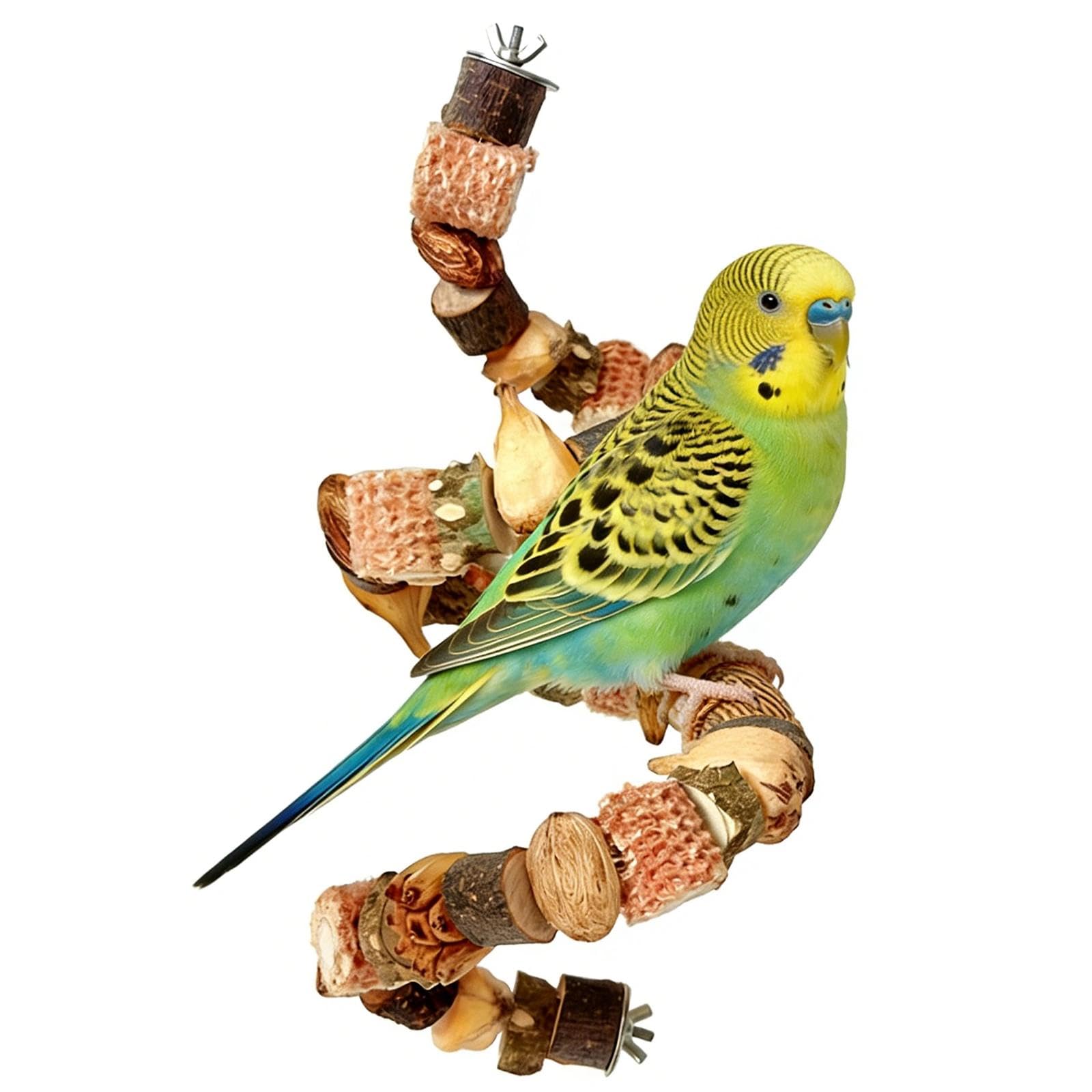 50 CM Perchoir Perroquet Jouet Perroquet Perchoir Oiseaux Jouets à Mâcher à Suspendre Perchoirs Perruches pour Perruches Inséparables Pinsons et Autres Petits Animaux de Compagnie