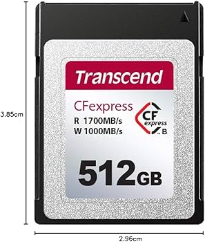 Amazon.in: Buy Transcend 512GB CFexpress Type B Card 820, Read Up
