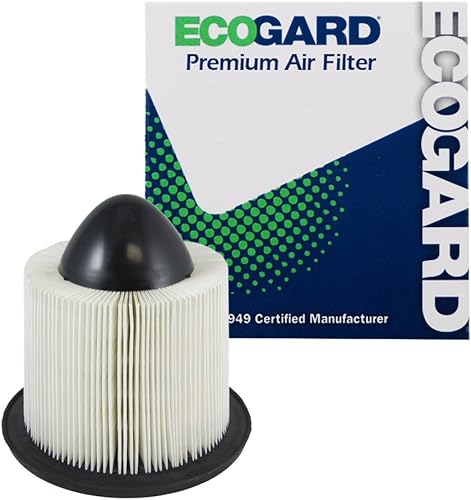 ECOGARD Filtro de aire de motor prémium XA4878 para Ford F-150 1997-2008 Expedition 1997-2004 E-350 1999-2019 F-250 Super Duty 1999-2004 E-250 ECOGARD Filtro de aire de motor prémium XA4878 para Ford F-150 1997-2008 Expedition 1997-2004 E-350 1999-2019 F-250 Super Duty 1999-2004 E-250