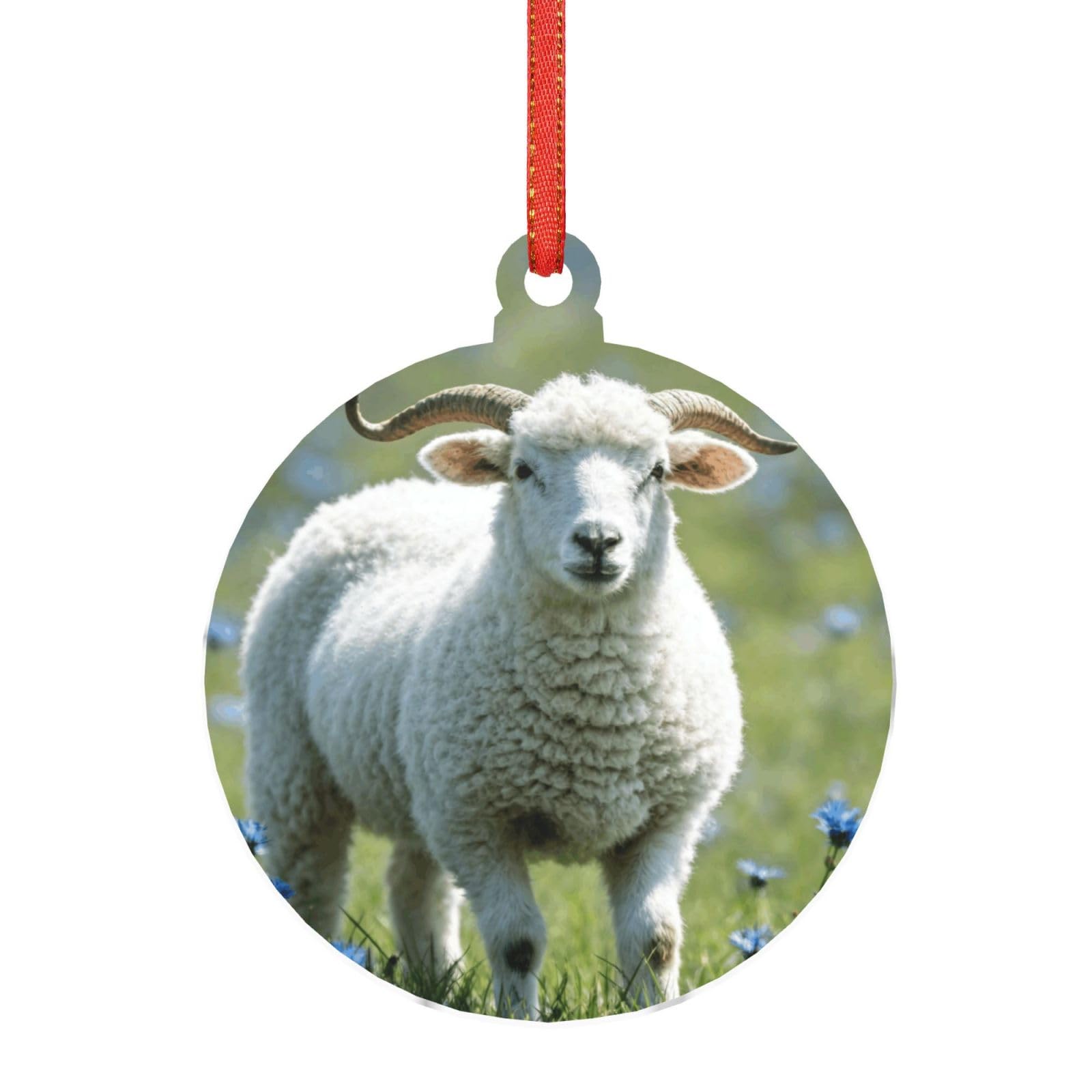 Hjkjkkj Round Shape Acrylic Ornament Christmas Tree Decoration Clear Round Pendant With Red Ribbon Sheep Christmas Ornaments Indoor Outdoor Hanging Acrylic Pendants For Xmas Party Decor