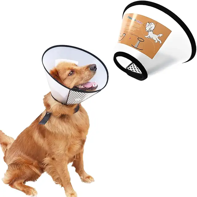 ZEPIQOR Protective Conical Collar for Dogs and Cats - Anti-Biting Adjustable Kraag voor Honden
