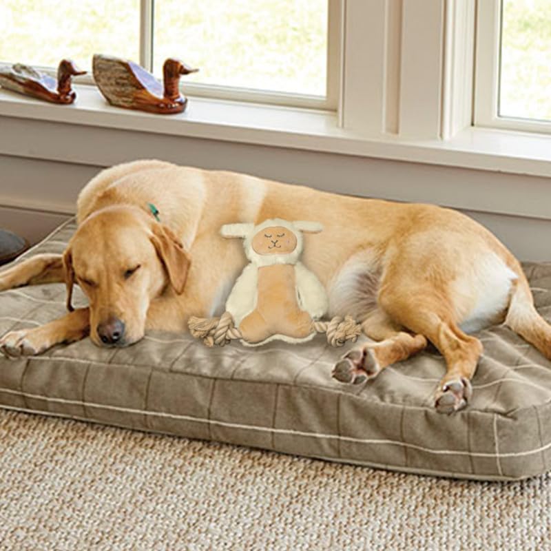 BarkButler x Fofos - Juguete de peluche para perros con patas de cuerda, suave y chirriante, color blanco, perros pequeños y medianos (5-20 kg), chirriador, tela suave y cuerda de algodón, para todas