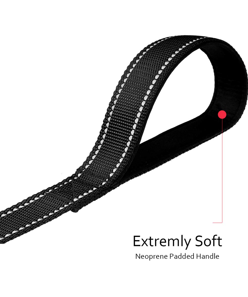 Taglory Guinzaglio per Cani Riflettente con Manico Imbottito e Gancio in Metallo, Nylon Resistente Addestramento Cane Guinzaglio, 1.8 m x 2.5 cm, Nero