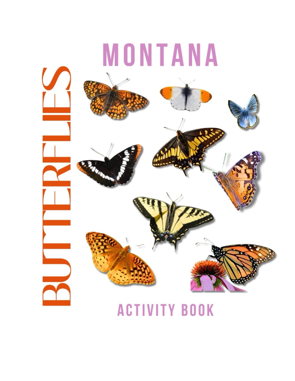Butterflies of Montana Activity Book: A Young Explorer's Field Guide to the Winged Wonders of Montana (Montana Nature Explorer Series)