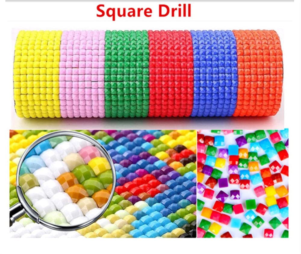 5D DIY Diamond Art Painting Kit Volledige Boor voor Kinderen Volwassenen, Vrouw Bloem Diamant Canvas Strass Borduurwerk Kruissteek Kristallen Kunst