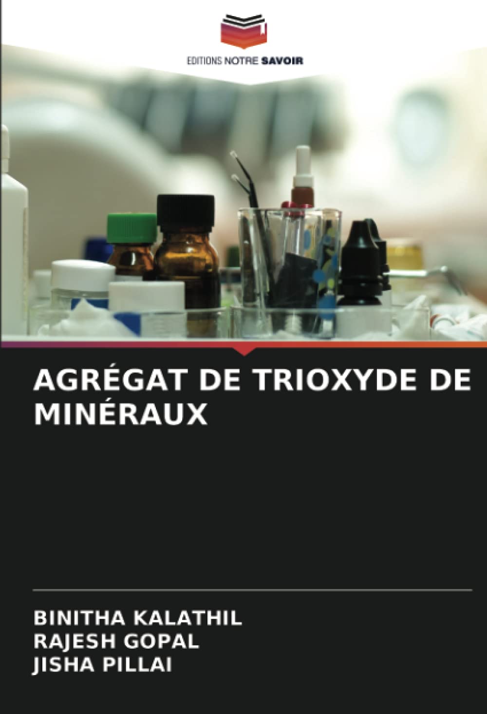 AGRÉGAT DE TRIOXYDE DE MINÉRAUX