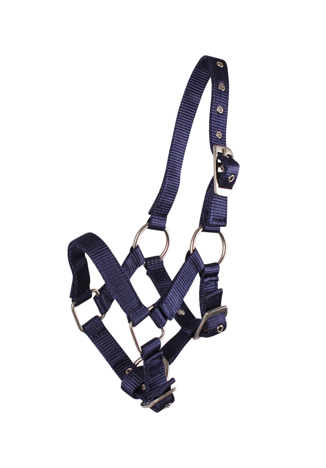 Licol D’entraînement Pour Poulain Yearling – Modèle QHP, Réglable, Boucle Au Nez Et Gorge, Anneau De Fixation Solide