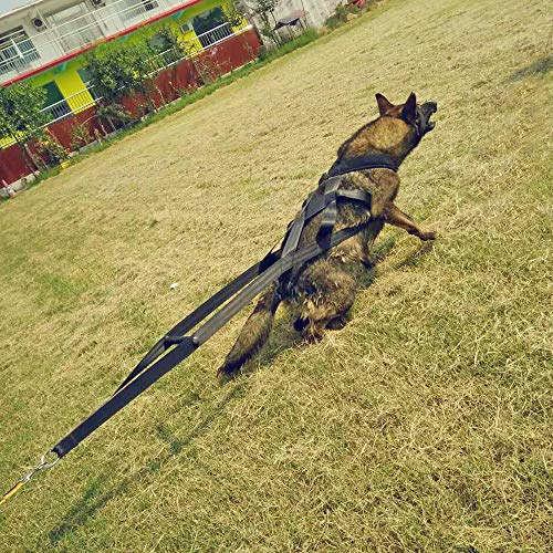 Pet Artist BJP27BL Dog Sled Weight Pulling Training Harnesses thumb #6