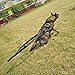 PET ARTIST Dog Sled Weight Pulling Training Harnesses for Large Work Dogs Behaviors Training, Dog Pulling Sledding Harnesses for Weight Pulling,Canicross,Ski-Joring Black