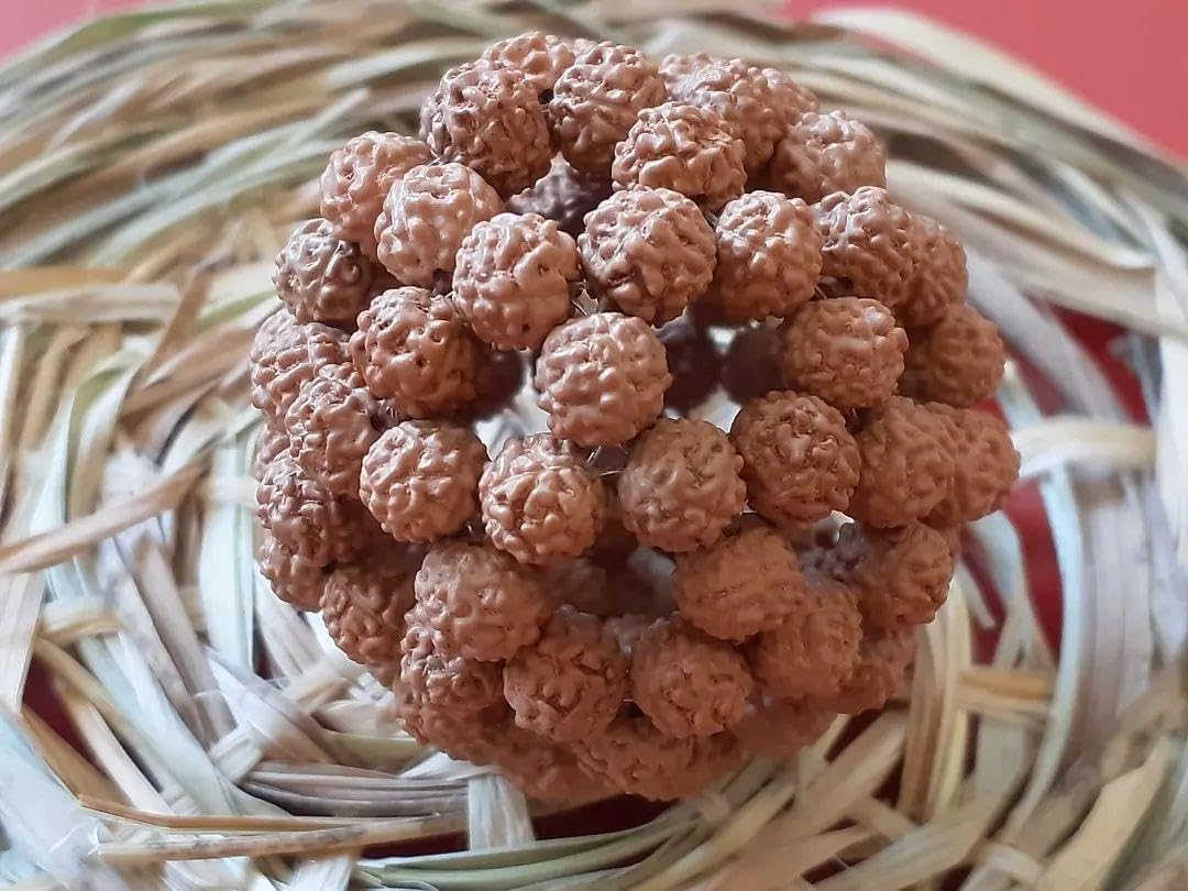 ルドラクシャ神聖幾何学フラーレン ルドラクシャ神聖幾何学フラーレン 【公式通販】