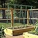 EcoStake Garden Stakes 3Ft 50 Pack, 1/4-Inch Dia Ecofriendly Plant Stakes/Tomato Stakes/Green