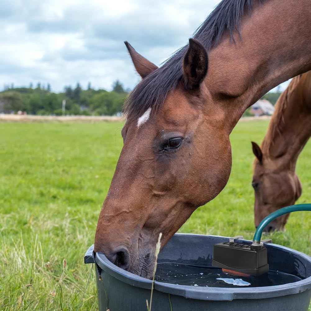 Válvula de Flotador para Bebederos de Agua con Llenado Automático, Paquete de 2, para Ganado, Vacas y Caballos. Compatible con Manguera Estándar de 3/4".