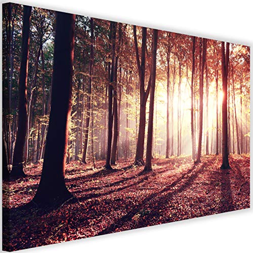 Photo sur toile XXL paysage arbres et soleil rouge | Tableau nature salon 100x70