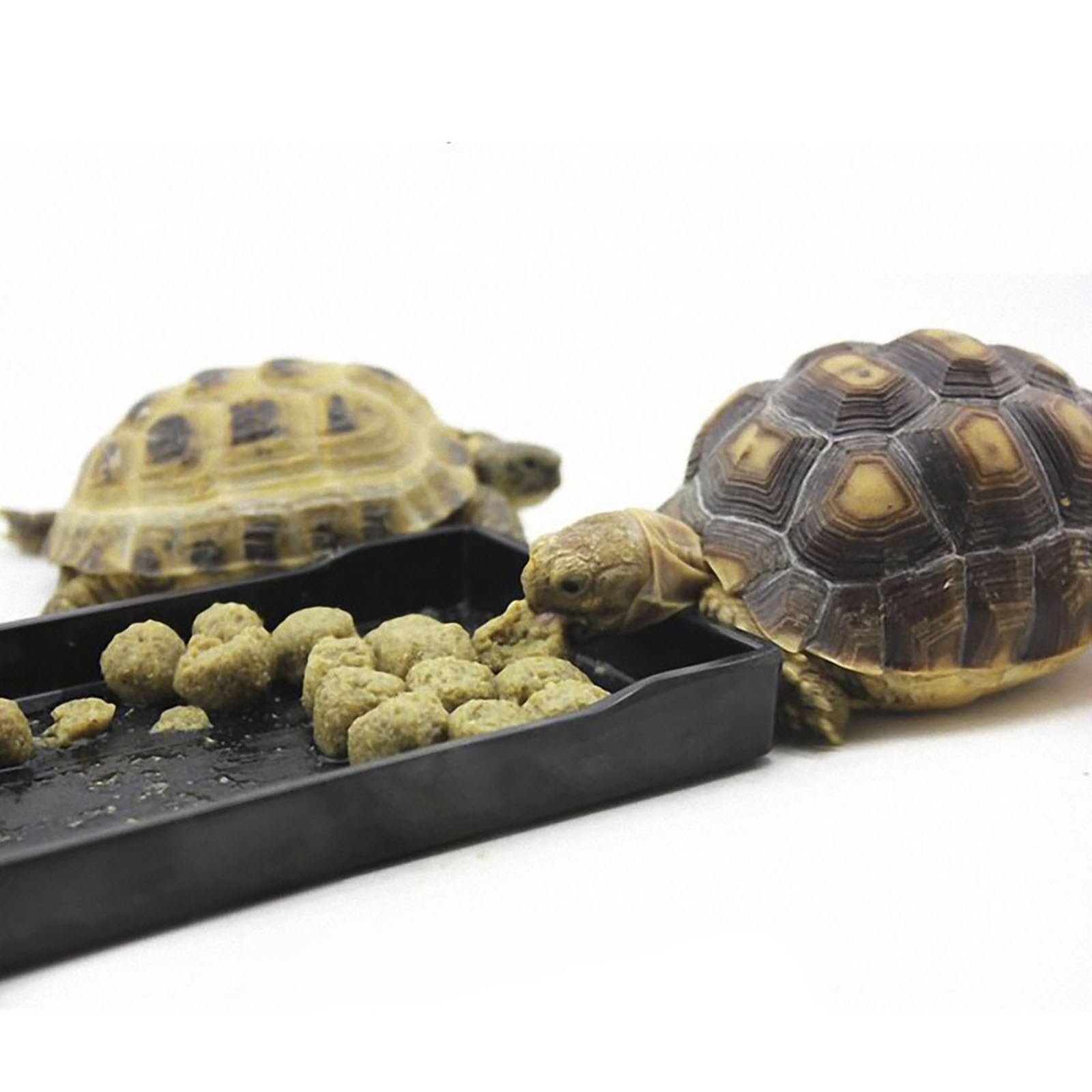 OMEM Grand Bol pour Reptiles - pour Nourriture et Eau - Convient également pour Le Bain (L, Noir) - 4